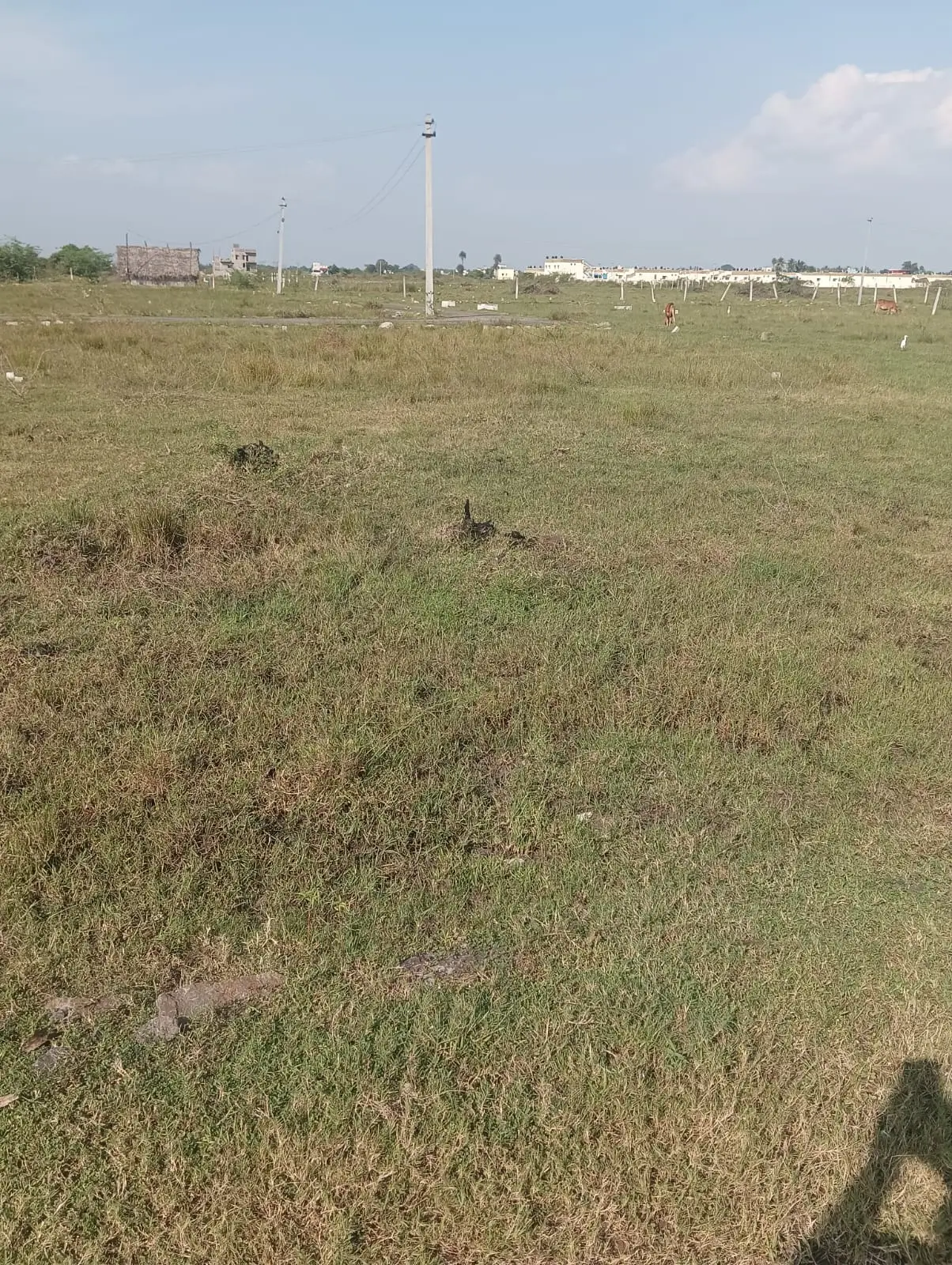 Regiland/ Suresh Plot Kavanur