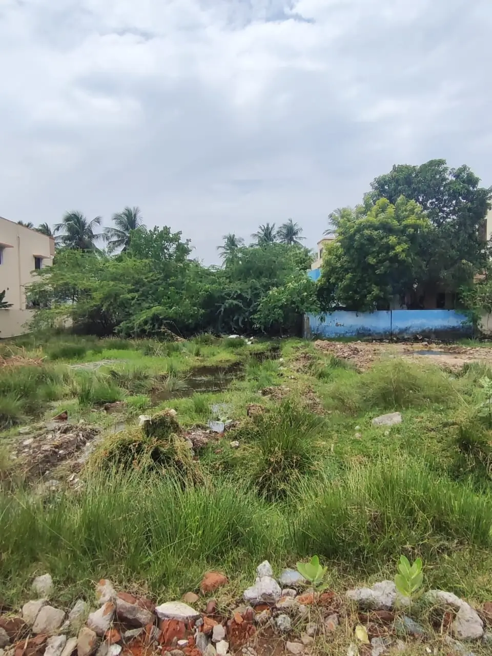 Regiland Plot  Selvaraj nagar